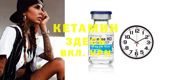крисы Алексин