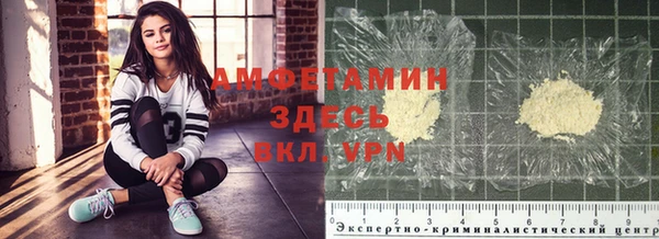 крисы Алексин