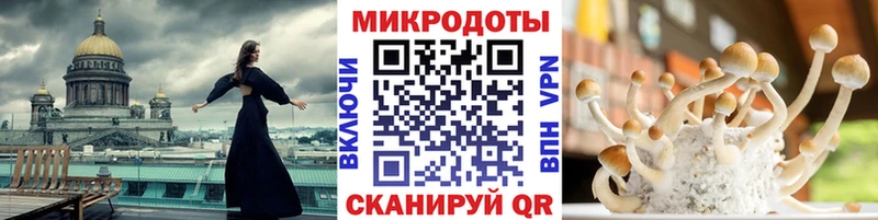 Псилоцибиновые грибы MAGIC MUSHROOMS  где купить наркоту  Завитинск 